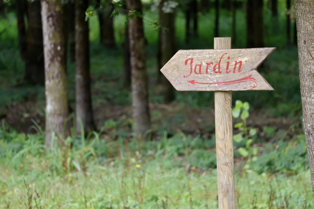 Taupe jardin : identification, dégâts réels et solutions efficaces